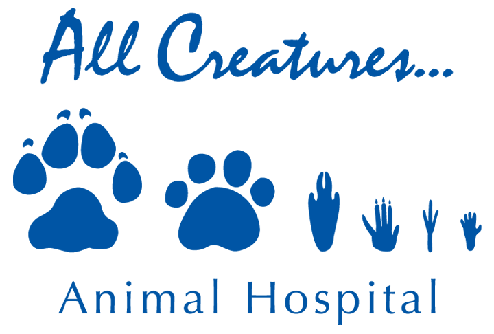 Welcome to All Creatures Animal Hospital Dunwoody, GA